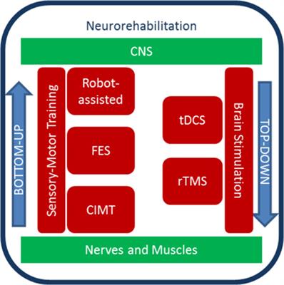 Using Biophysical Models to Understand the Effect of tDCS on Neurorehabilitation: Searching for Optimal Covariates to Enhance Poststroke Recovery